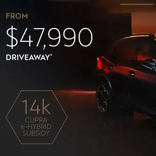 Formentor VZe Subsidy Offer