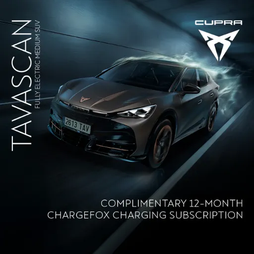 Tavascan Chargefox Subscription