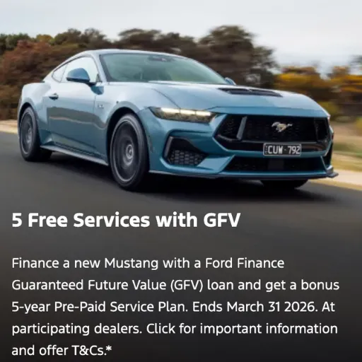 5 Free Services with GFV