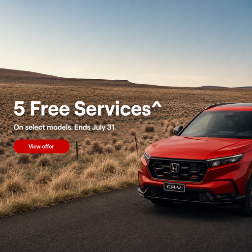 Services Offer