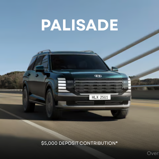 Palisade Deposit Contribution