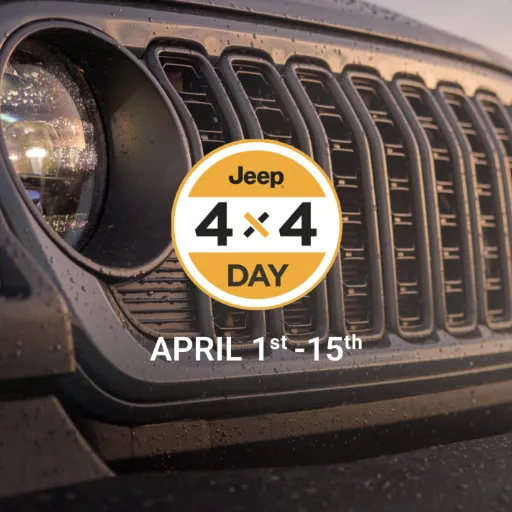 Accessory Limited Time Offer