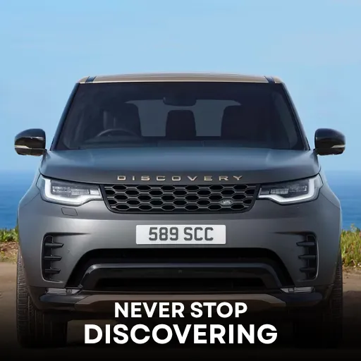 Never Stop Discovering