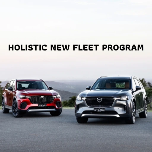 Holistic New Fleet Program