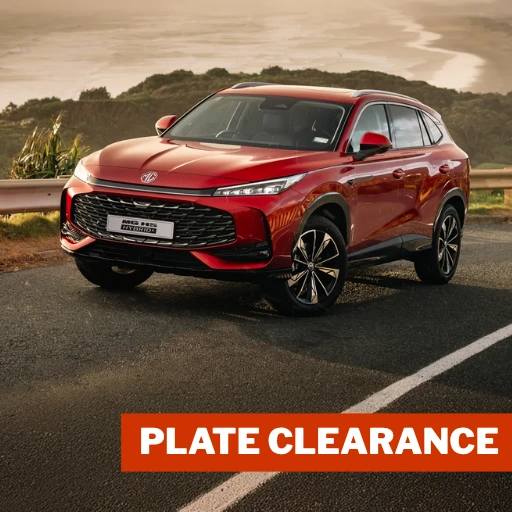 Plate Clearance Offer